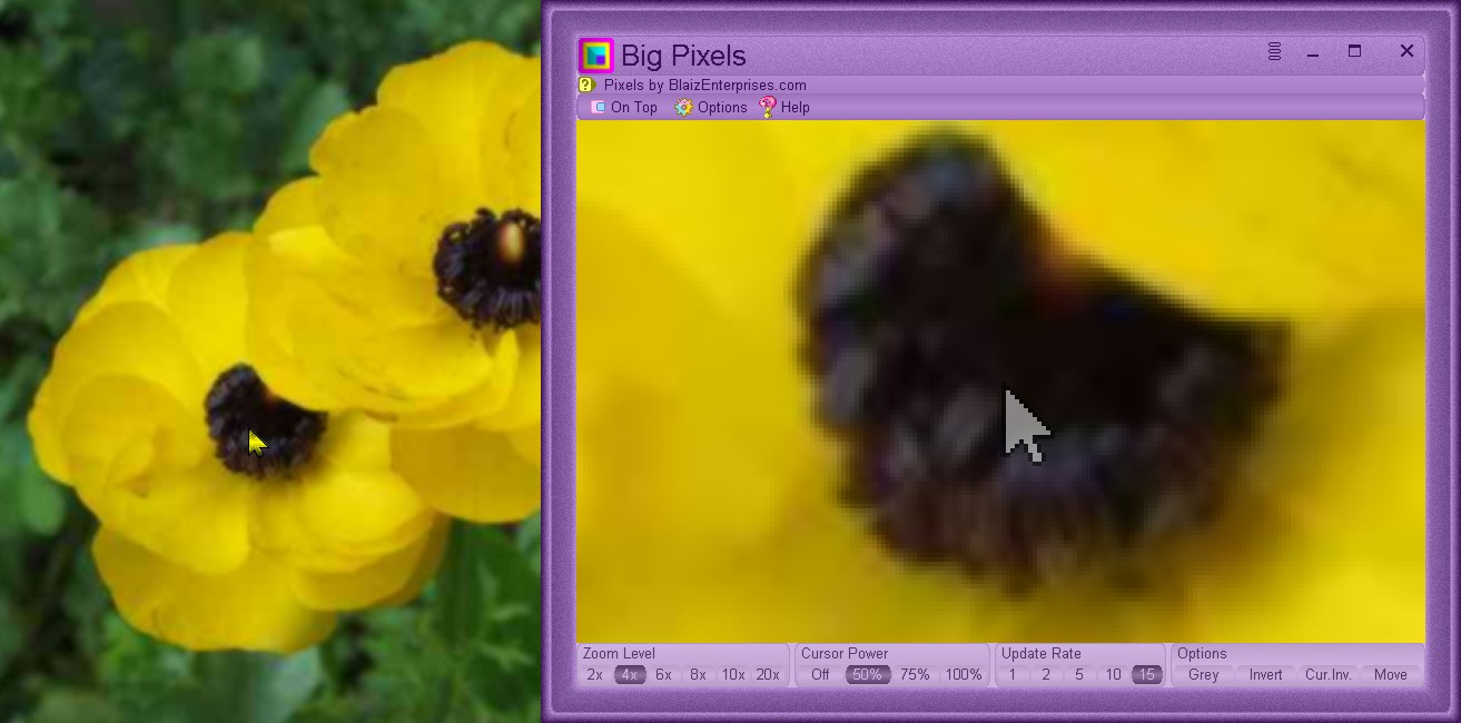 bigpixels-screenshot2 (JPG image)