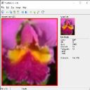 clic (Jpeg image)